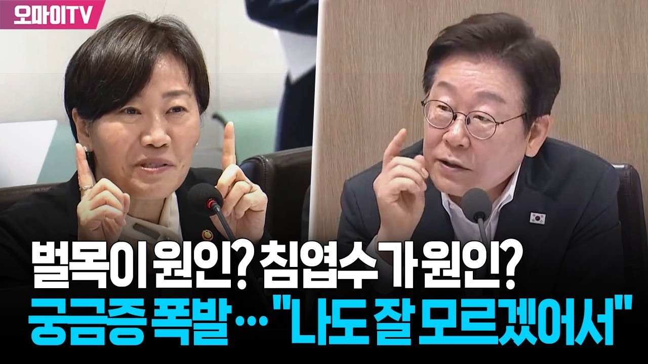 벌목이 원인? 침엽수가 원인? 궁금증 폭발한 이재명 