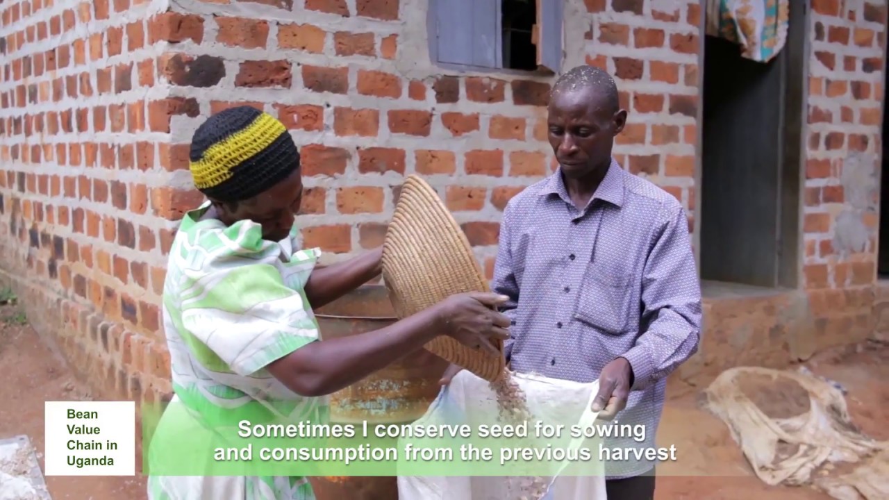 Bean value chain in Uganda