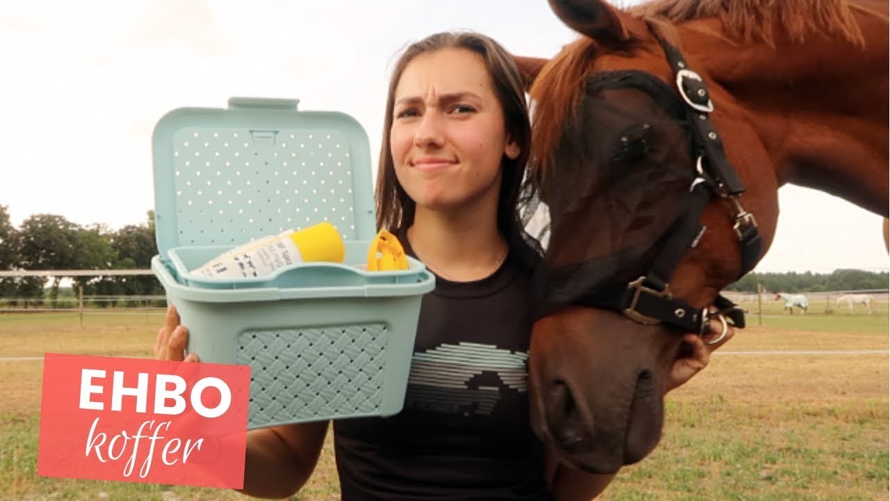 10 dingen die in je paarden EHBO kist moeten zitten | LeanneAbigail