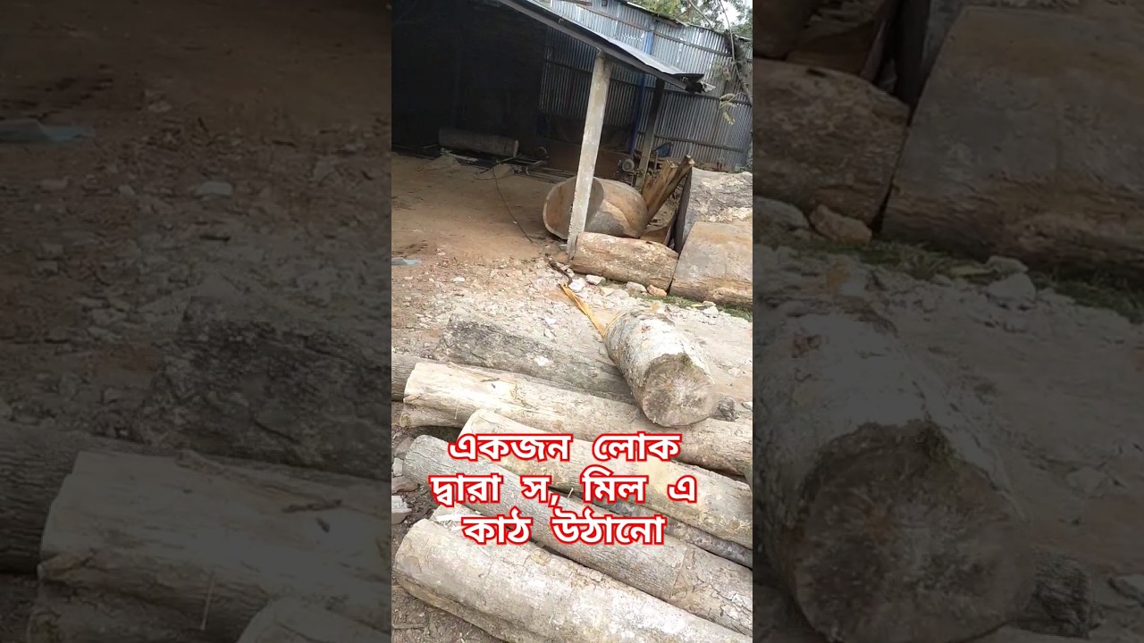 একজন লোক দ্বারা স, মিল এ কাঠ উঠানো#sawmillsbd#সমিল#বিডিসমিলস#bdsawmills.com #BDSAWMILLS#Sawmillprice