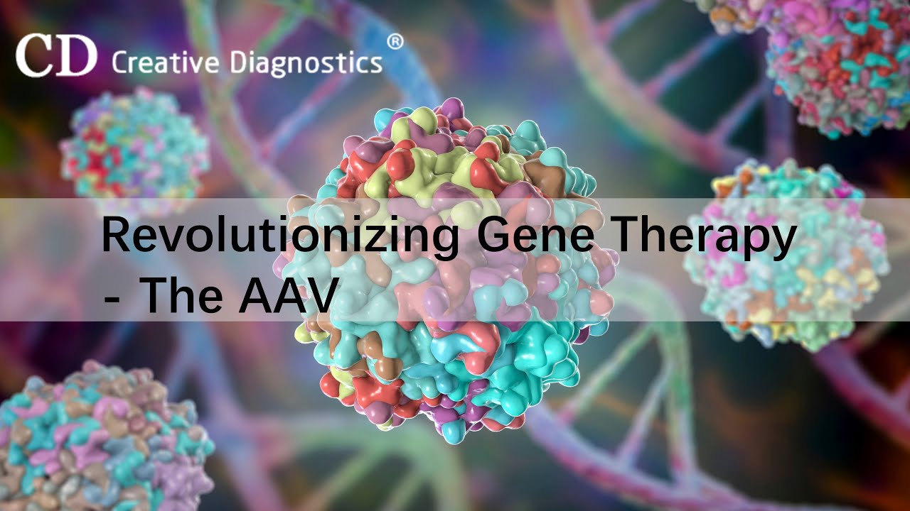 Revolutionizing Gene Therapy  The AAV