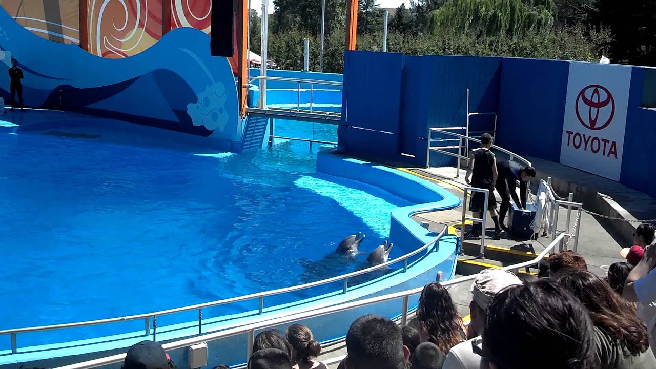 Dolphin show drench Six Flags Discovery Kingdom