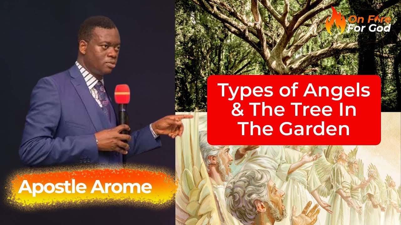Types of Angels and The Tree in The Garden of Eden - Apostle Arome Osayi