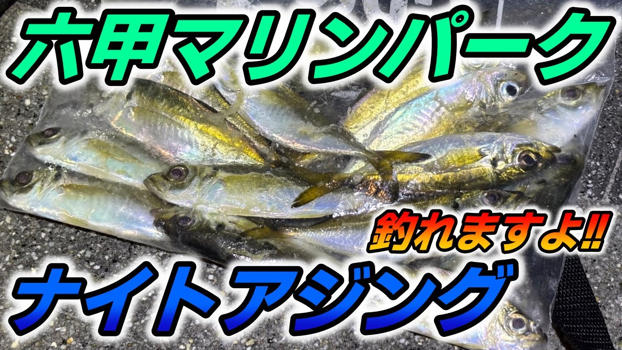 【六甲マリンパーク】快適にアジングできます！夜の短時間でつ抜けも狙える！