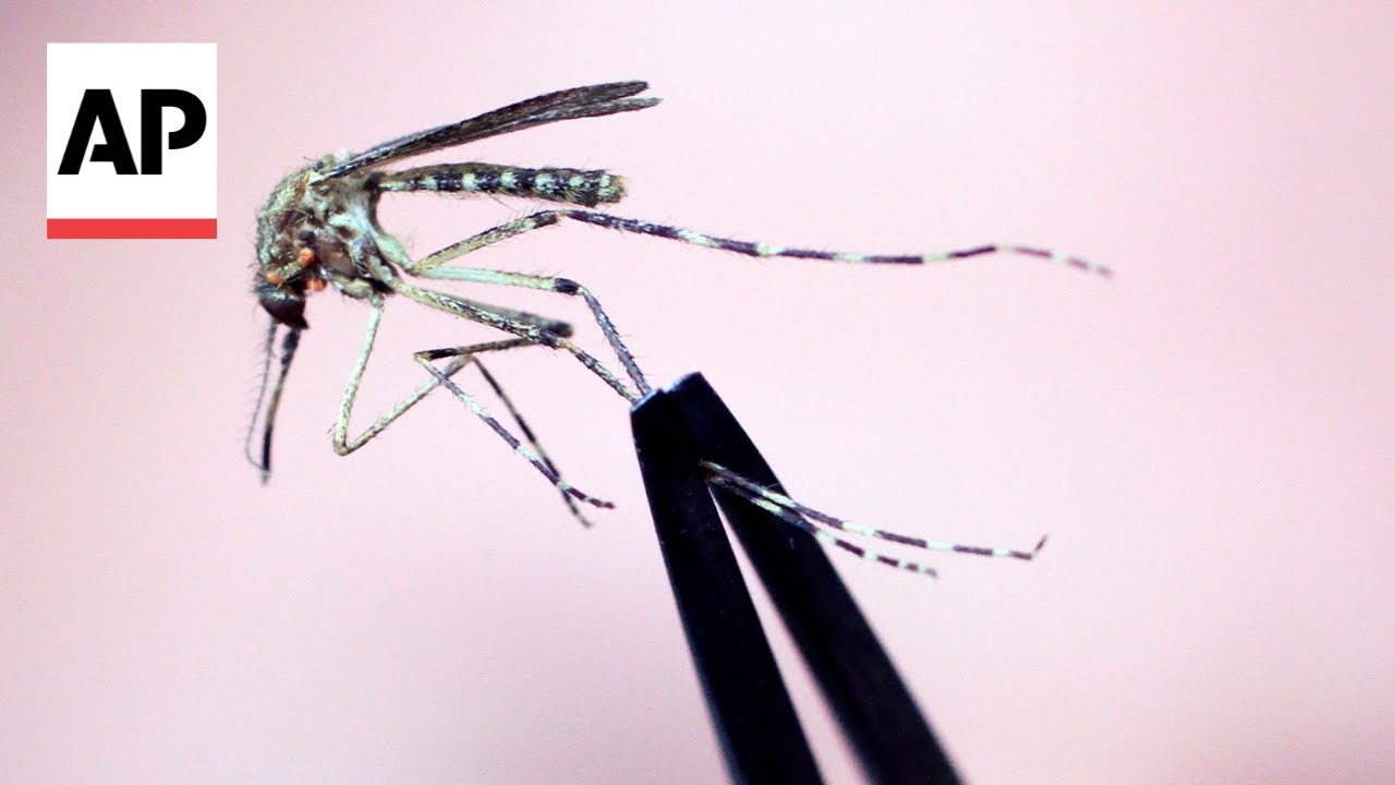 Health experts express concern about the spread of eastern equine encephalitis (EEE)