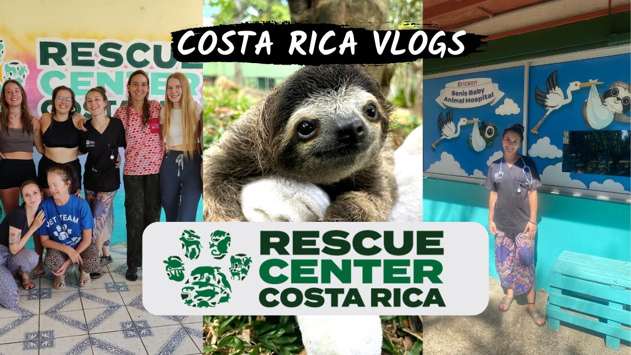 Travel to Costa Rica with me - Solo travelling! (Costa Rica Vlog 1)
