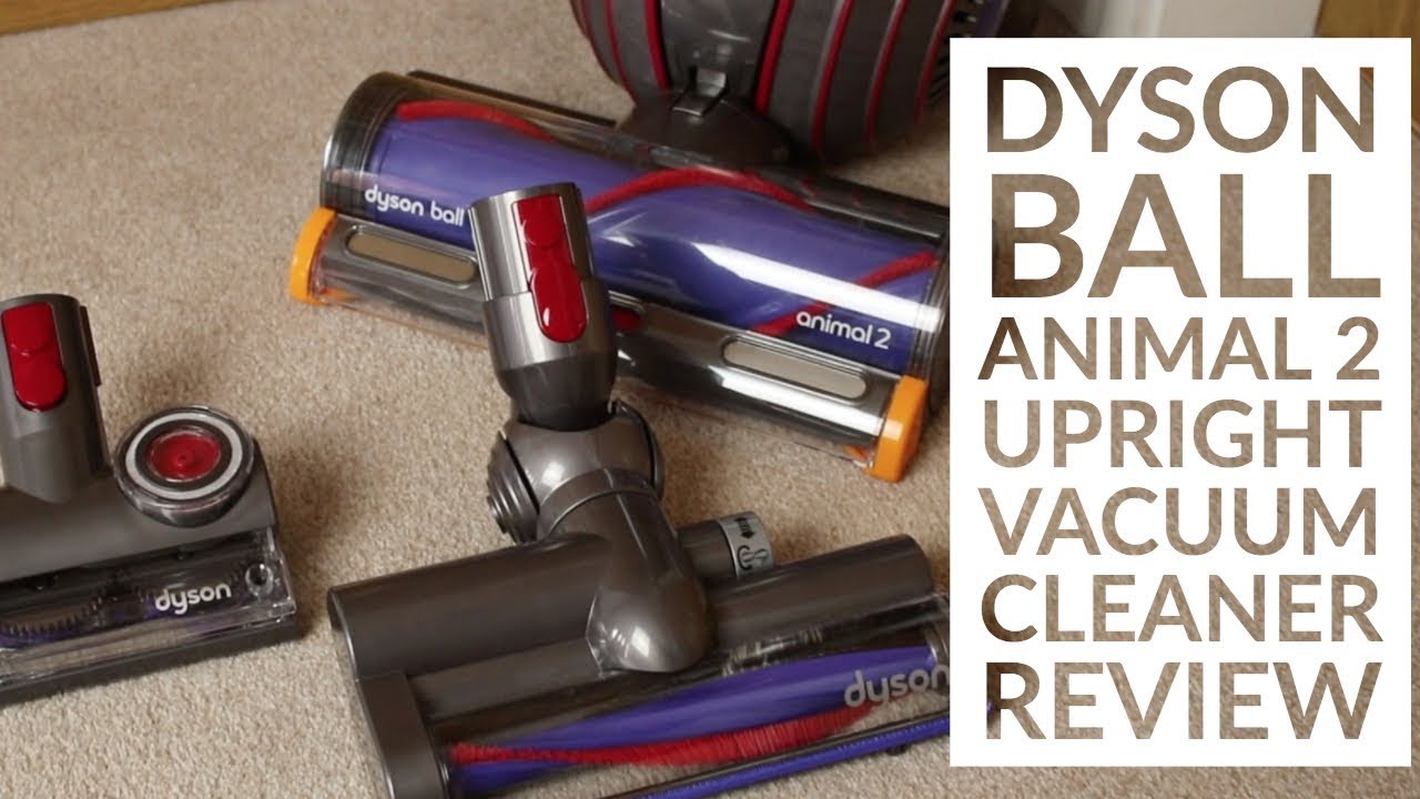 Dyson Ball Animal 2 Bagless Upright Vacuum Cleaner Review | Henry Reviews