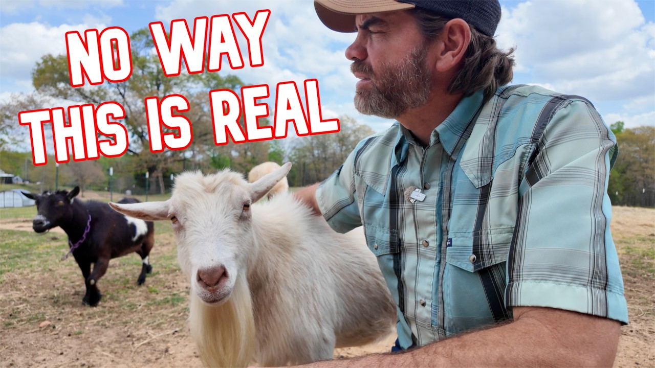 I Didn&rsquo;t Believe It, Until I Saw It With my Own Eyes! (Major Farm Problem Might Be Solved)
