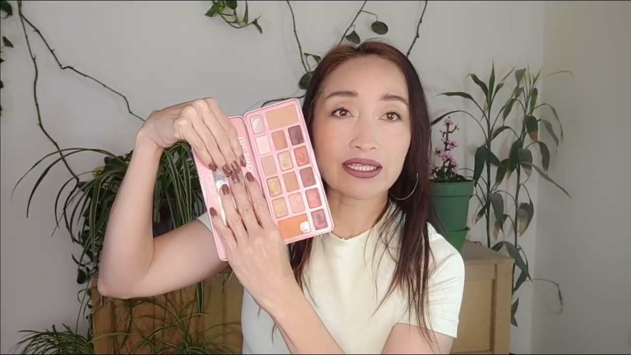 PROJECT PAN DETODO UN POCO LABIALES PALETAS RUBORES