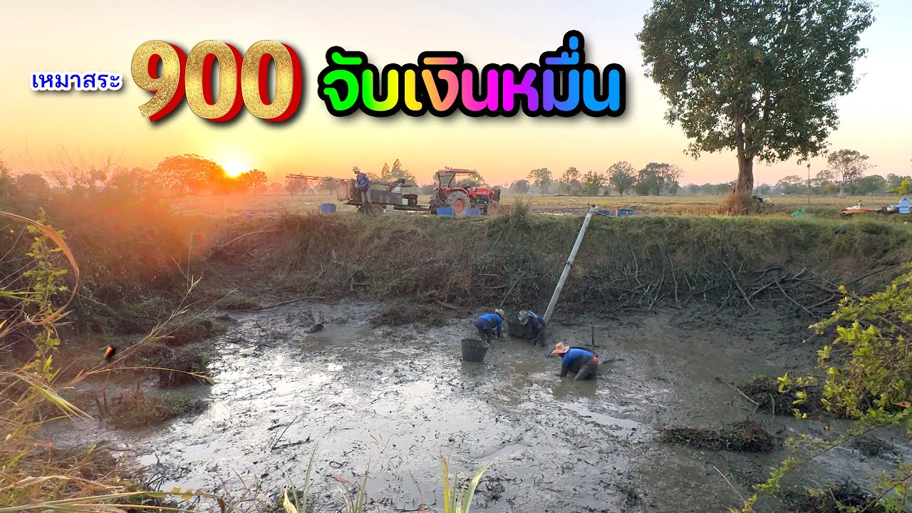 เกินคาด!! เหมาสระ 900 บาท สาวลั่นได้จับเงินหมื่น โชคดีมาก เจ้าของแฮปปี้ Surprised catch 😱