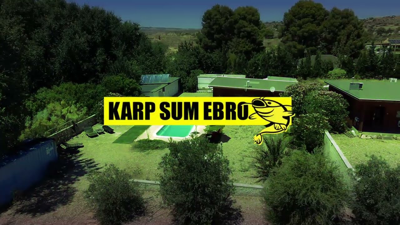 Karp Sum Ebro Baza / prod Life Is Creativity