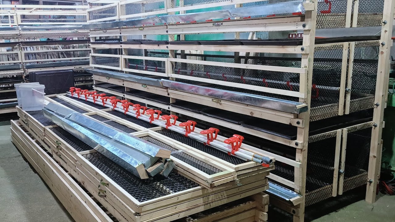 الجديد حديد عند العوضي وبس 