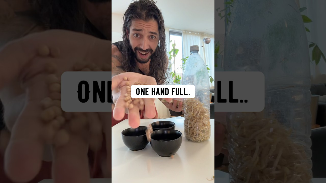 DIY Chickpea Hacks | creative explained