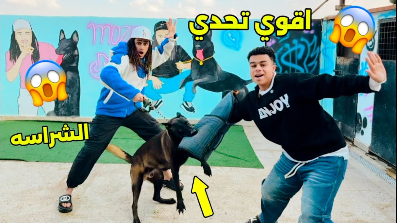 تحدي صعب 😱 مين أشرس و اقوي كلب ؟!🤯
