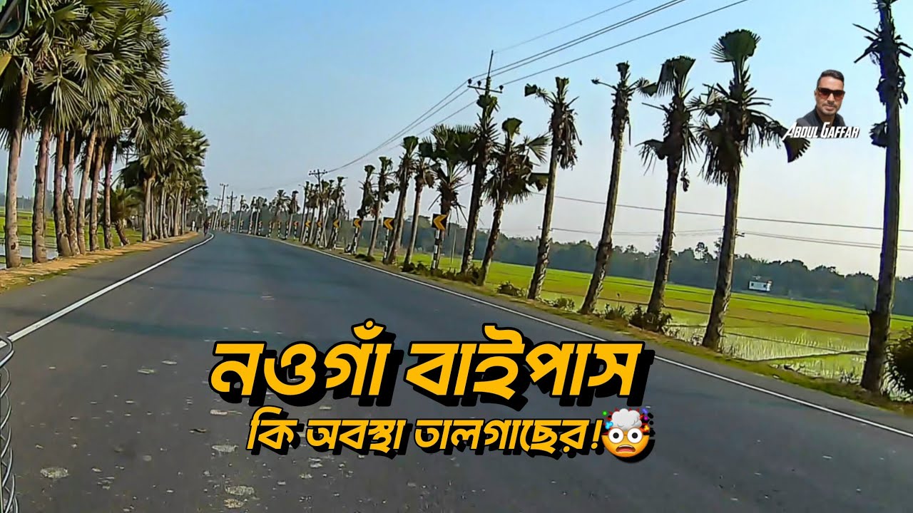 নওগাঁ বাইপাসে তালগাছের মাথা ছেঁটে ফেলা হয়েছে! 😳 অন্য উপায় ছিল না? 