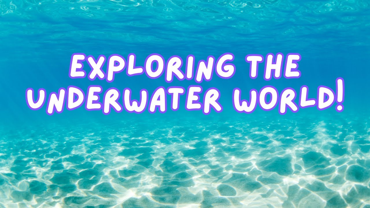 My Scuba Diving Journey: Certified, First Trips & What's Next!