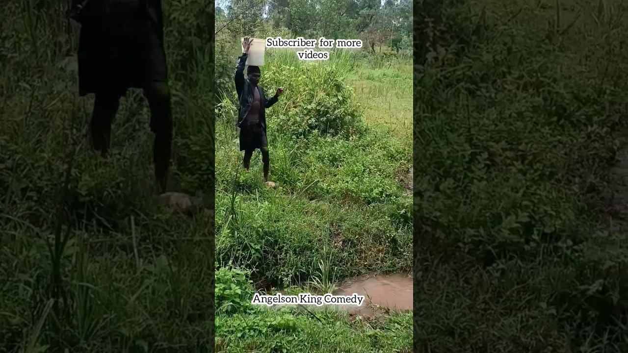 BEST VIDEOS FUNNY 🤣🤣 