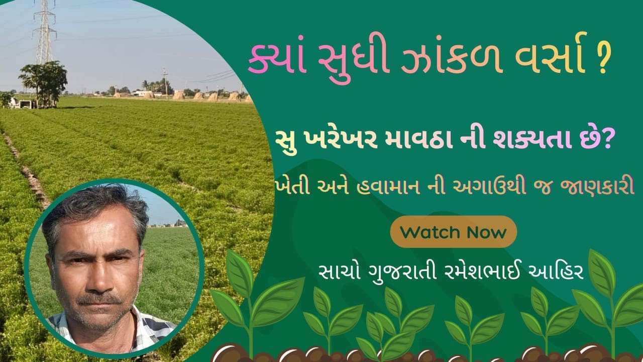 હજુ કેટલા દિવસ ઝાંકળવર્સા? શું ખરેખર ફરી પાછું આવશે માવઠું?સાચો ગુજરાતી રમેશભાઈ આહીર