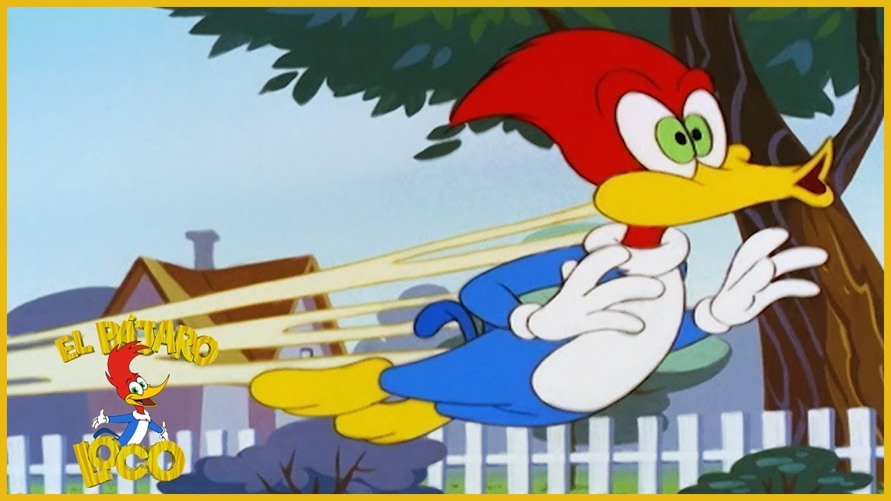 El Pájaro Loco en Español | Juntos Para Siempre | Dibujos Animados en EspañolJuntos Para Siempre