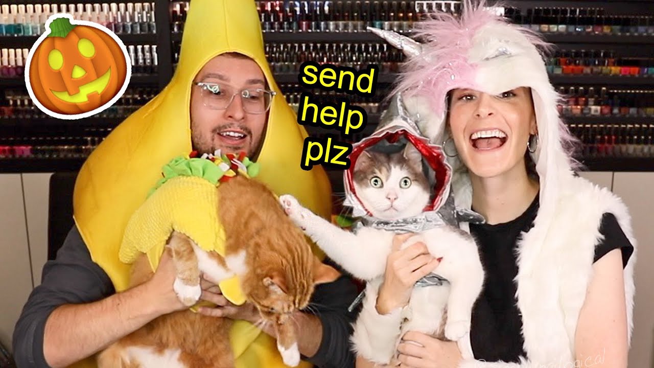 Dressing up my Cats in Holoween Costumes (Year 2)