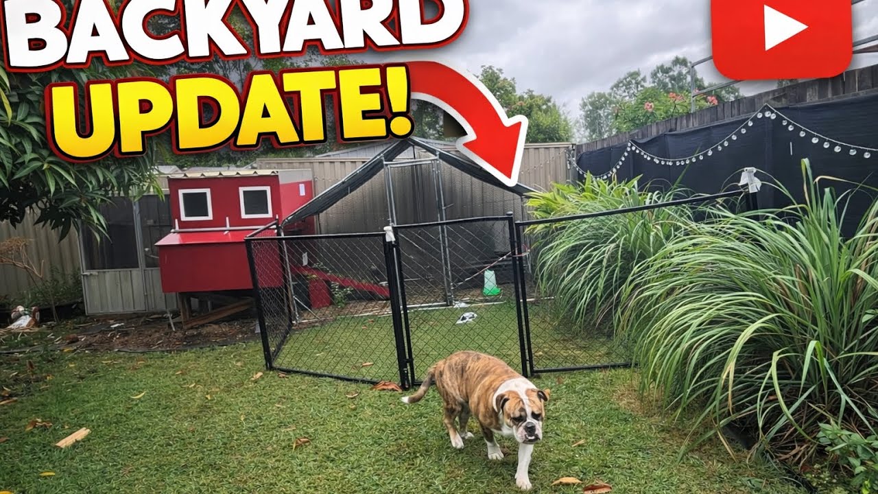 What’s going on at ABD’S ?