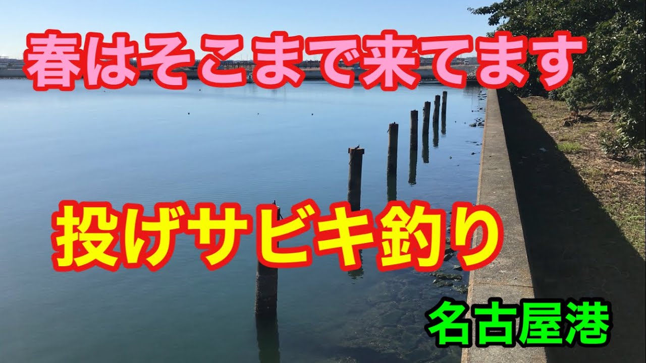 春はそこまで来てます 投げサビキ釣り 名古屋港
