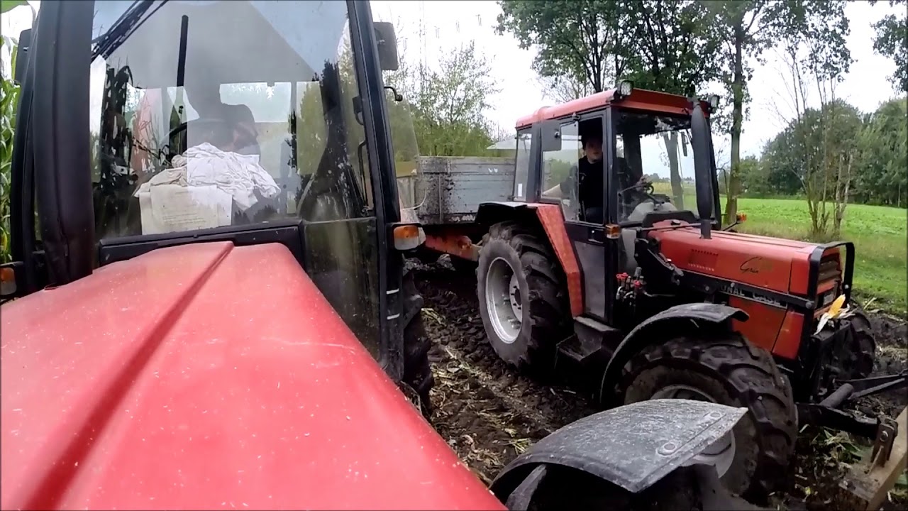 Mais Ernte 2017 auf dem Großbetrieb l IHC Power !!!