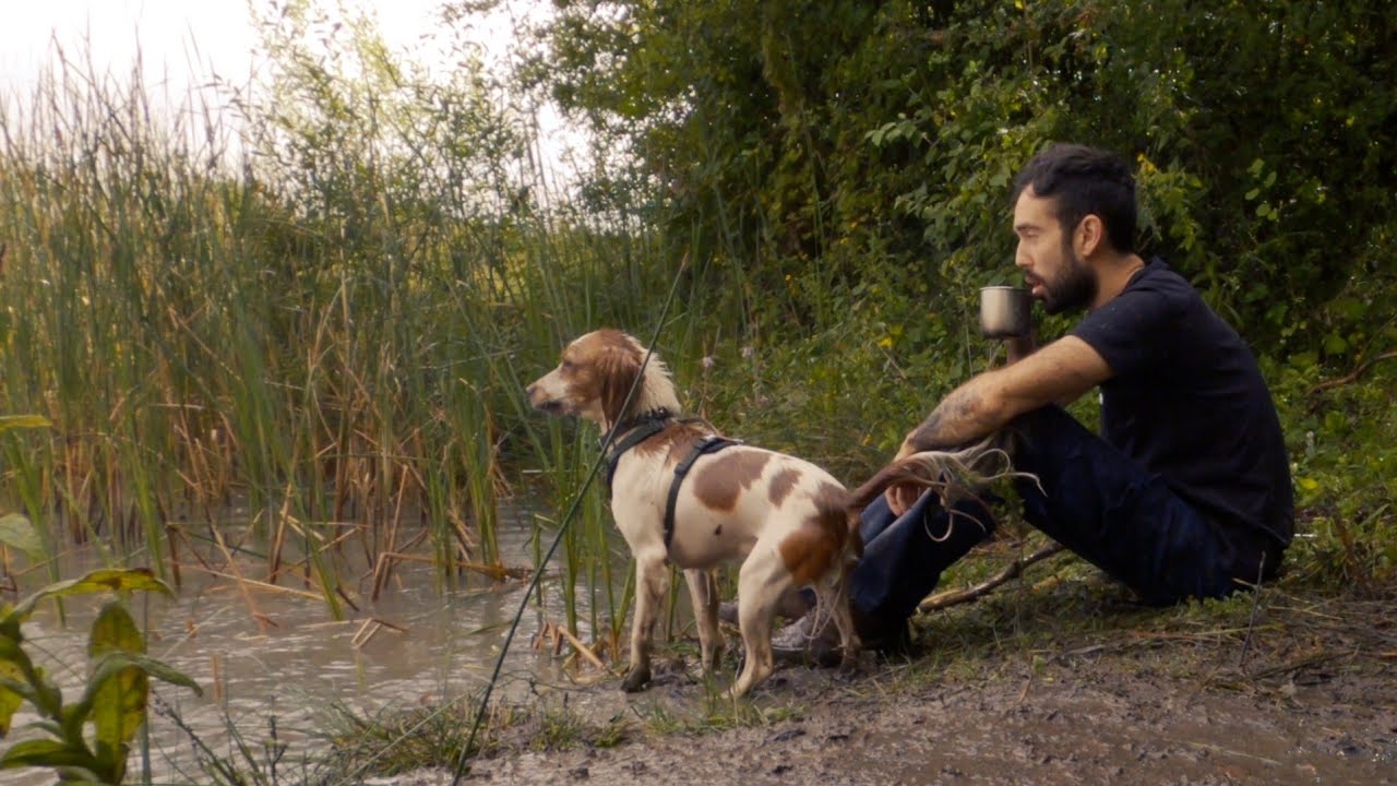 DOG SWIMMING AND TEA