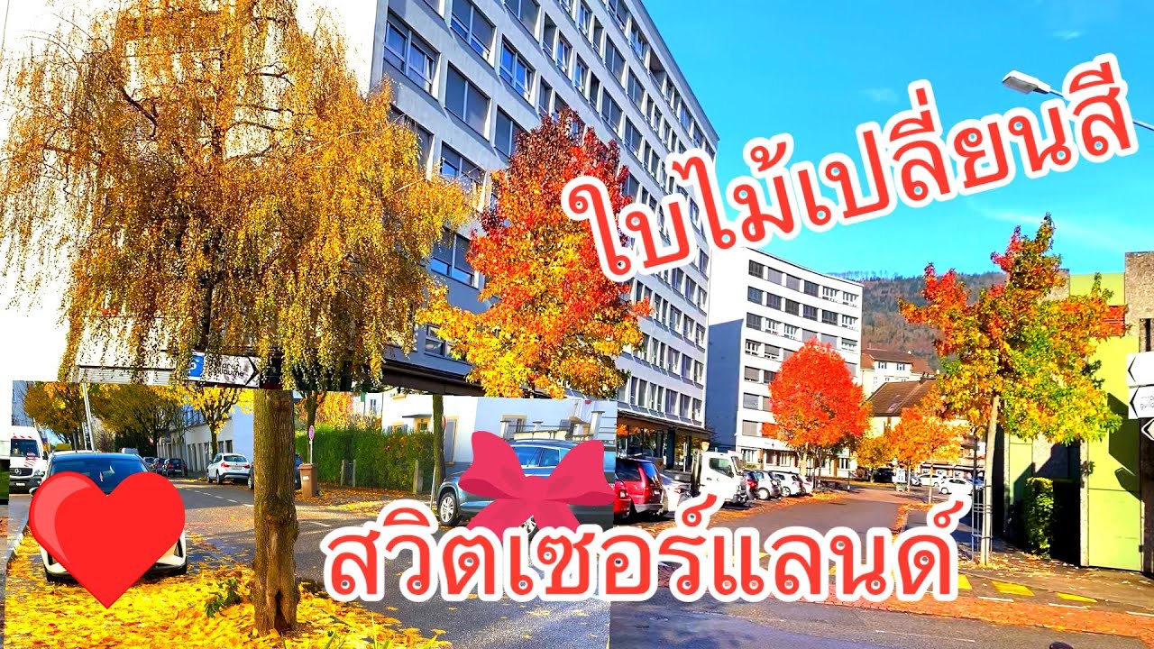 ใบไม้เปลี่ยนสีสวยมาก สวิตเซอร์แลนด์เมืองในฝัน