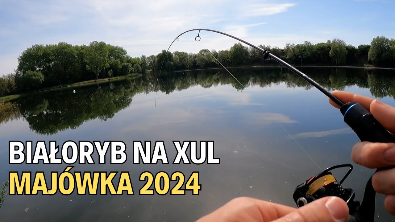 Białoryb na ultralekki spinning || BLUE BIRD NANO || MAJÓWKA na Rybach ☀️
