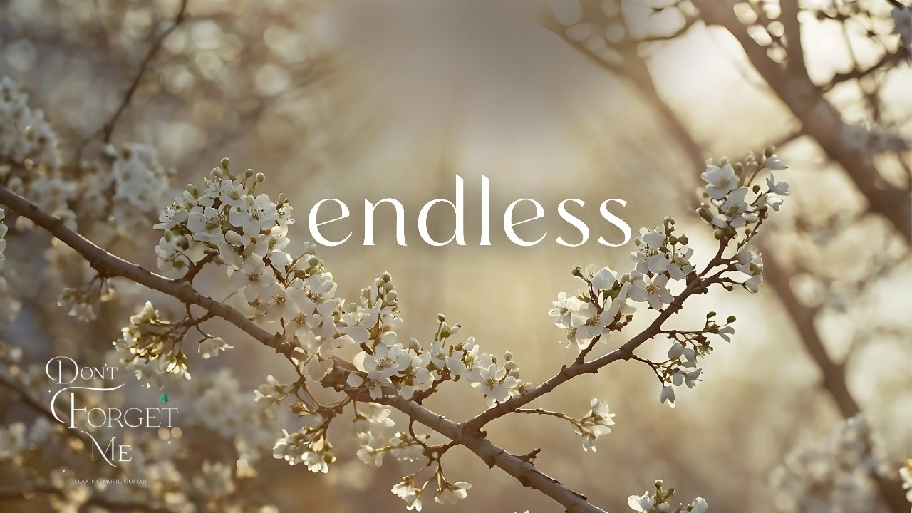 Endless Echoes of the Heart 💖 Emotional Guitar Music for Healing & Calm