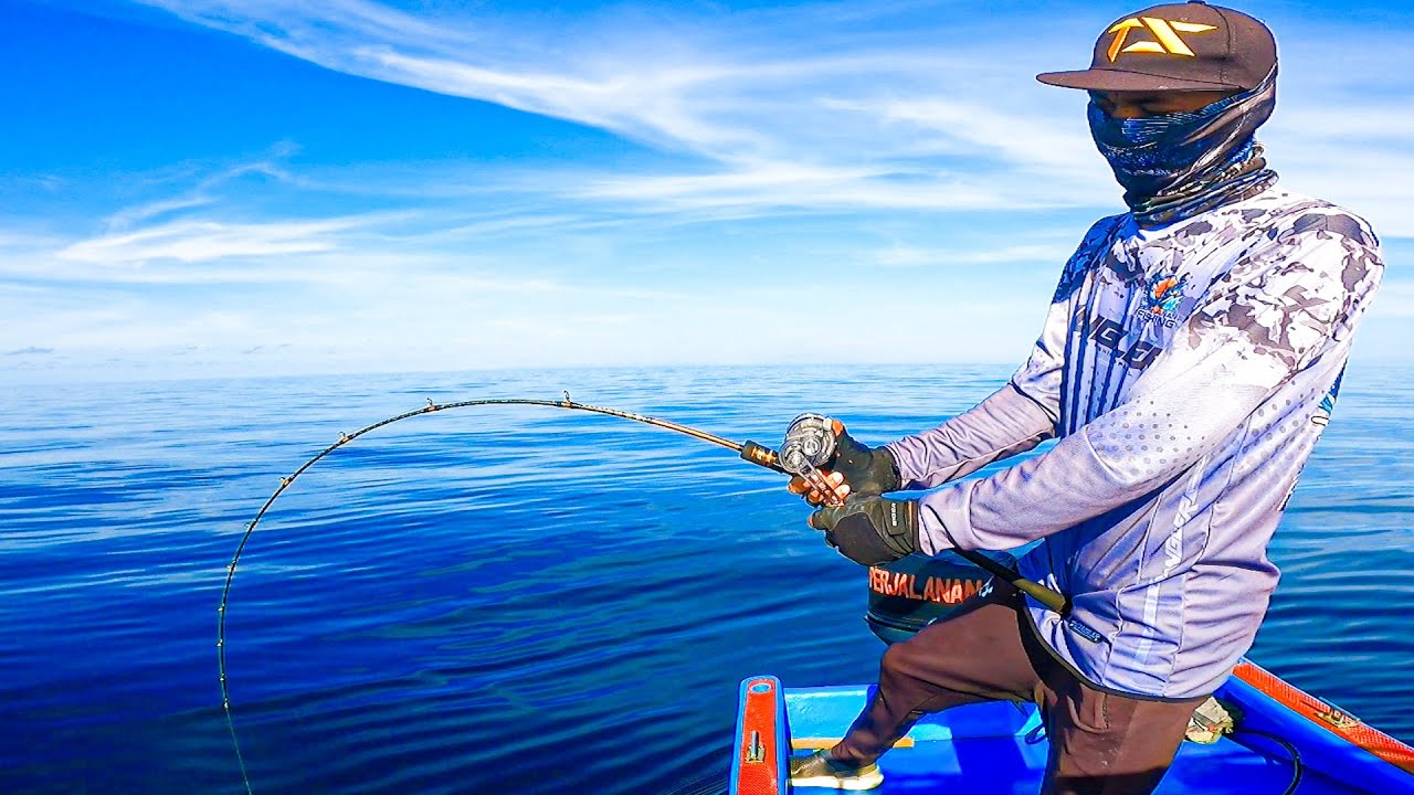 Full Strike Adu Betot Tarikan Babon | Seahawk Ocean Infinity !!
