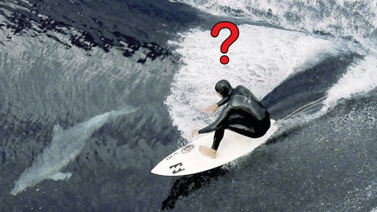 Surfer Trolled By a Dolphin