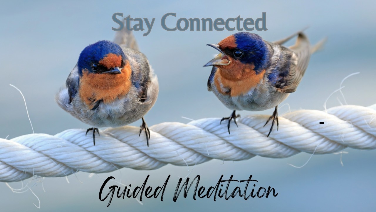 Stay Grounded and Connected During Difficult Interactions~voice only~#guidedmeditation #oneness