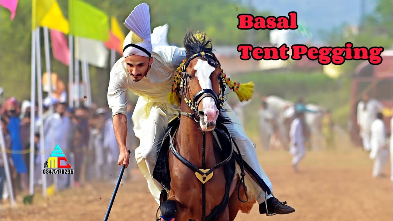 Basal NezaBazi Vlog🏆|Best Vlog|🤣|Bhai Waseem😅