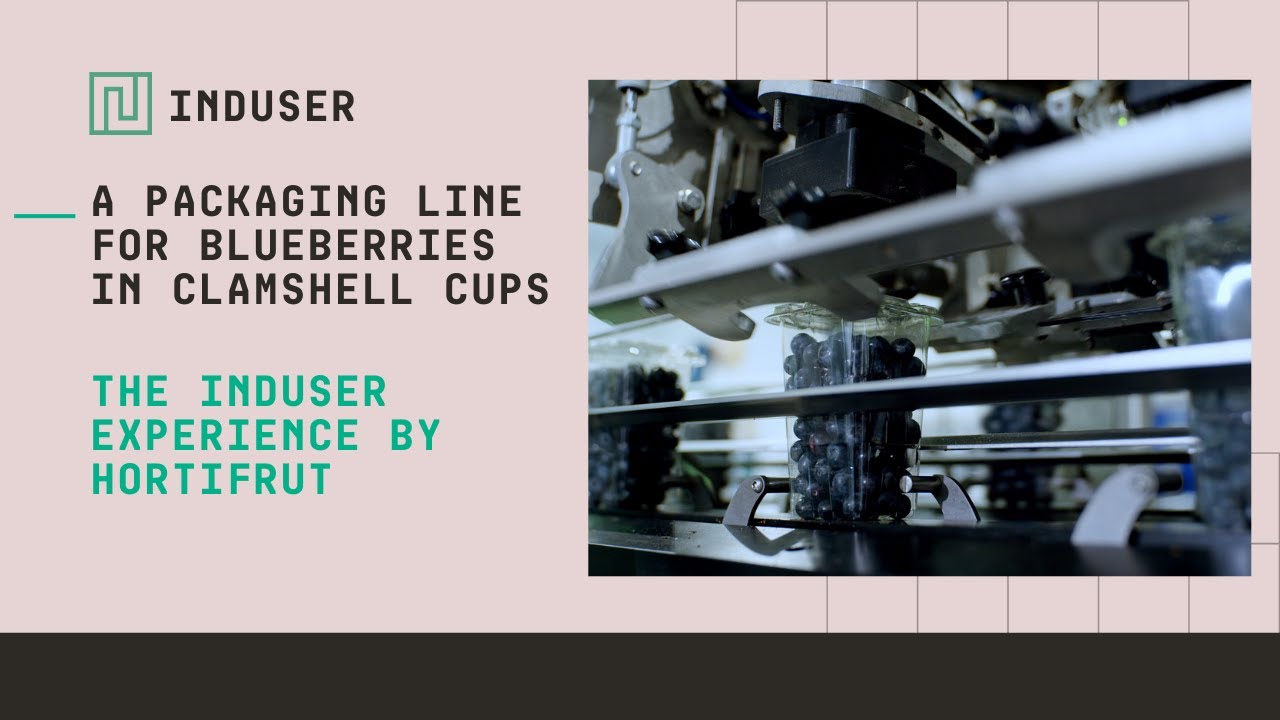 🫐 An automatic packaging line for blueberries in clamshell cups | Testimonial