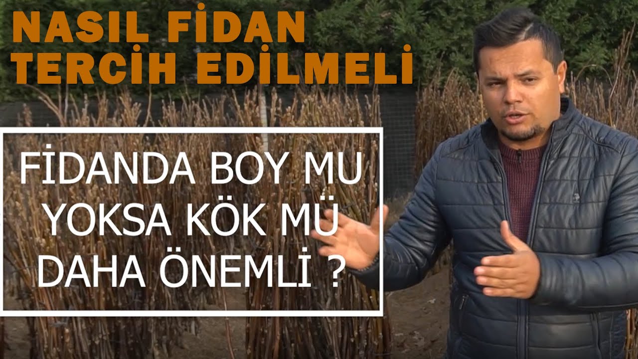 FİDAN NASIL SEÇİLİR ?