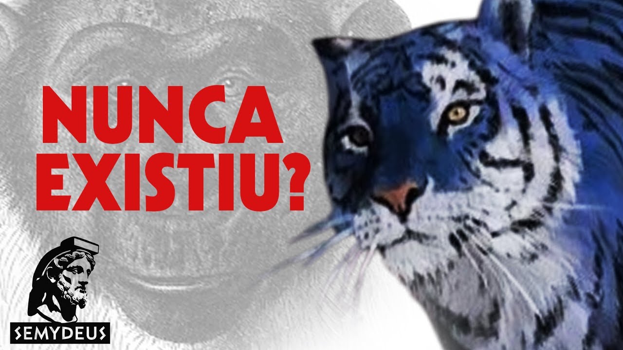 Animais que não Existem (?)