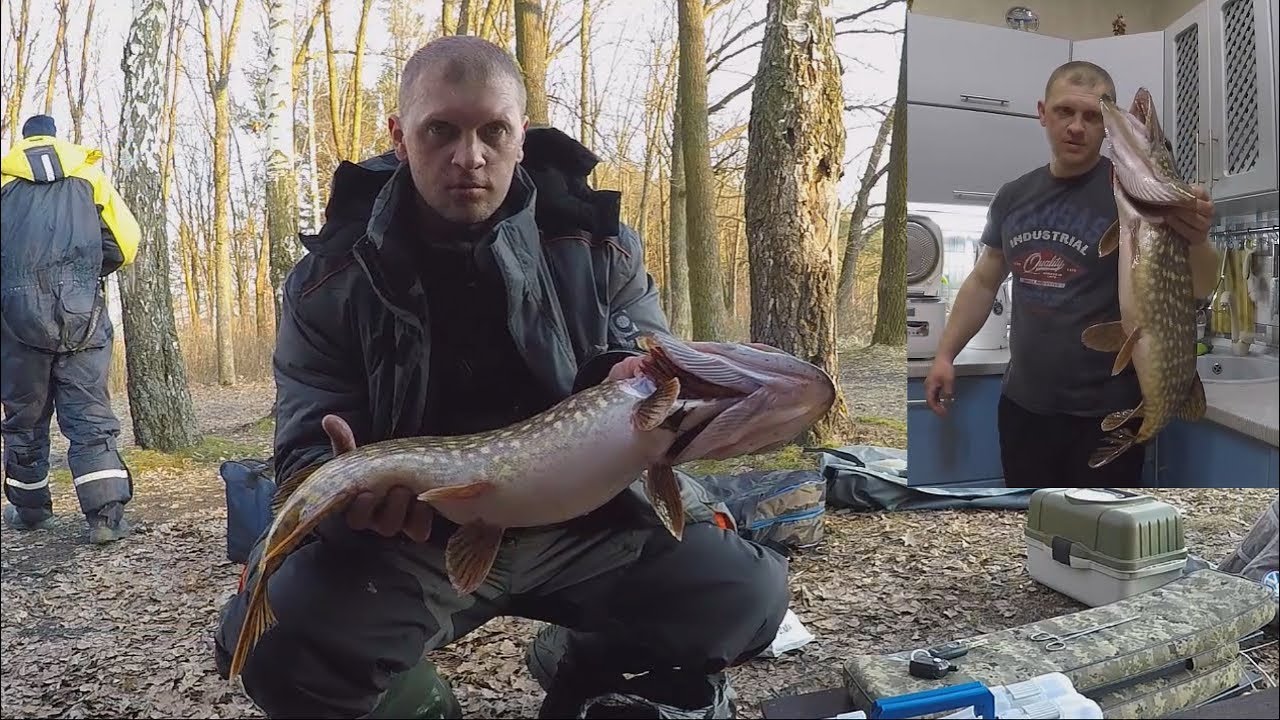 Ловля щуки в троллинг. Воблер Rapala Shad Rap. Уловистые приманки на щуку.#Рыбалка