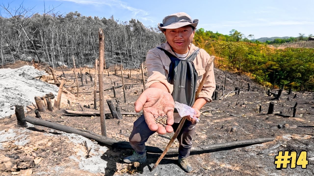 LiViNG my Life as a FARMER  | Garo Hills  | MEGHALAYA.