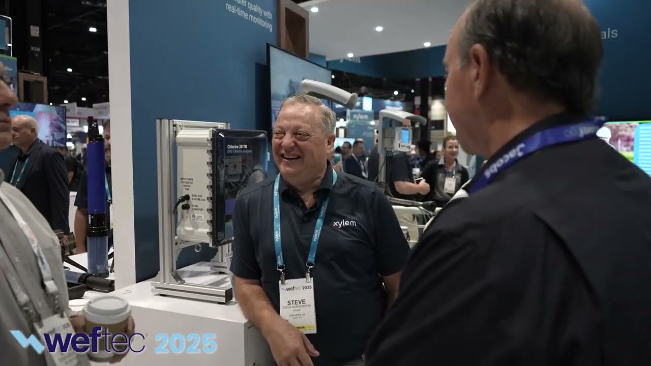 AROUND THE EXHIBITION: Xylem