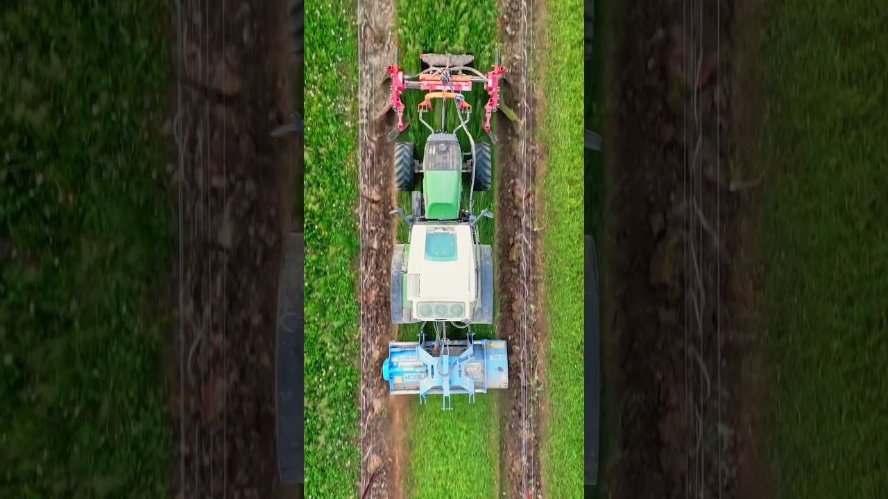Soil work in the vineyard.🚜🙋&zwj;♂️🎥@denardi_team #wineinspires #soilwork #vineyard #grapes #viticulture