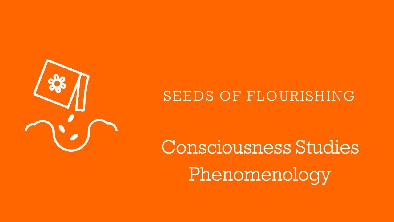 Seeds Of Flourishing - Ep. 56 - Consciousness Studies - Phemomenology