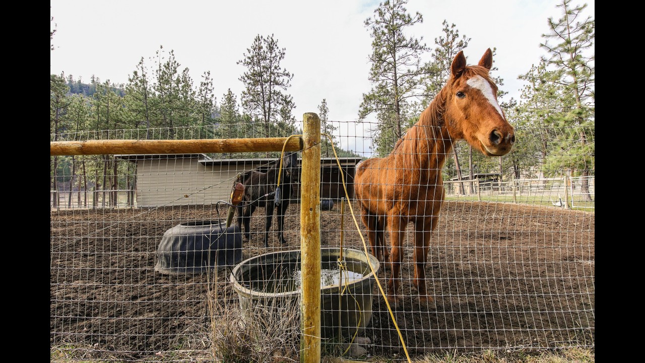 698 GREEN LAKE RD. Oliver 10 Acre Horse Ranch For Sale