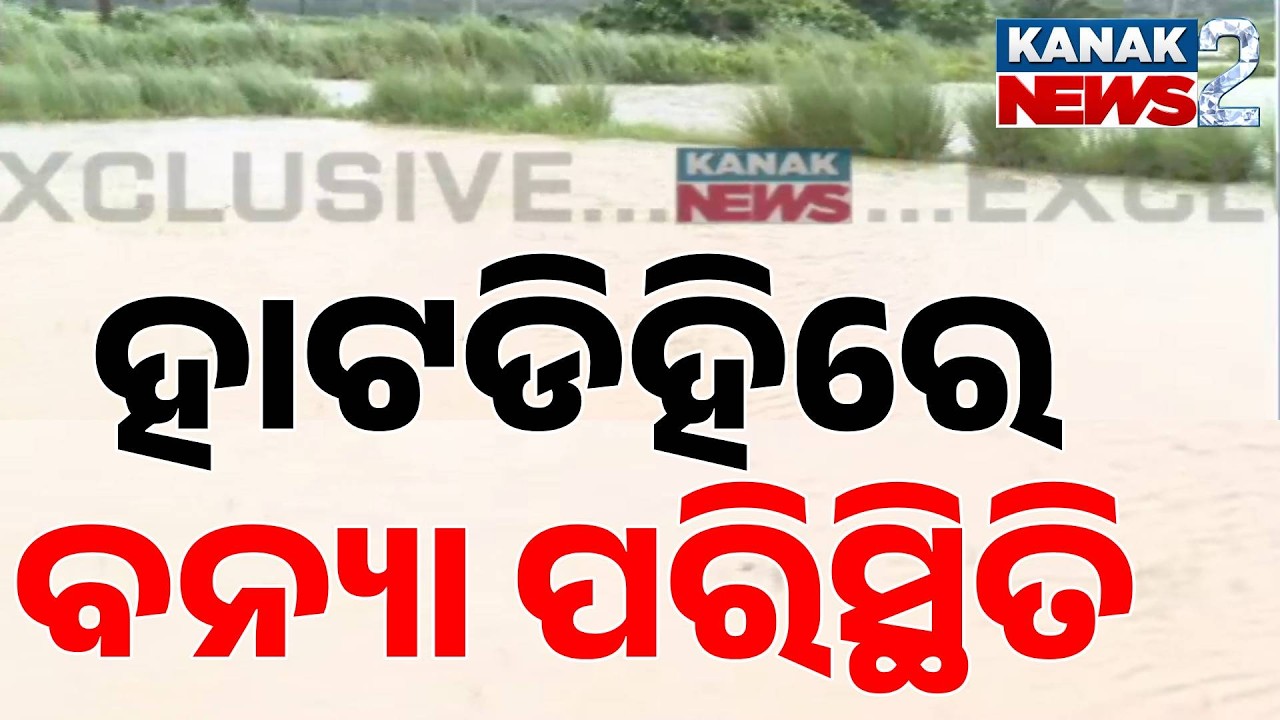 ହାଟଡିହିରେ ବନ୍ୟା ପରିସ୍ଥିତି | Odisha Flood Alert: 221mm Record Rain Submerges Hatadihi Block