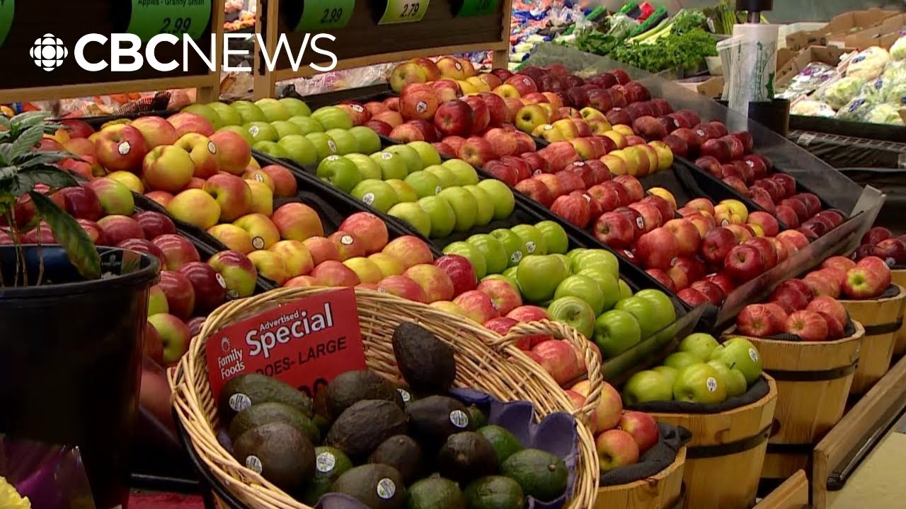 Why is it so hard to bring the cost of groceries down?