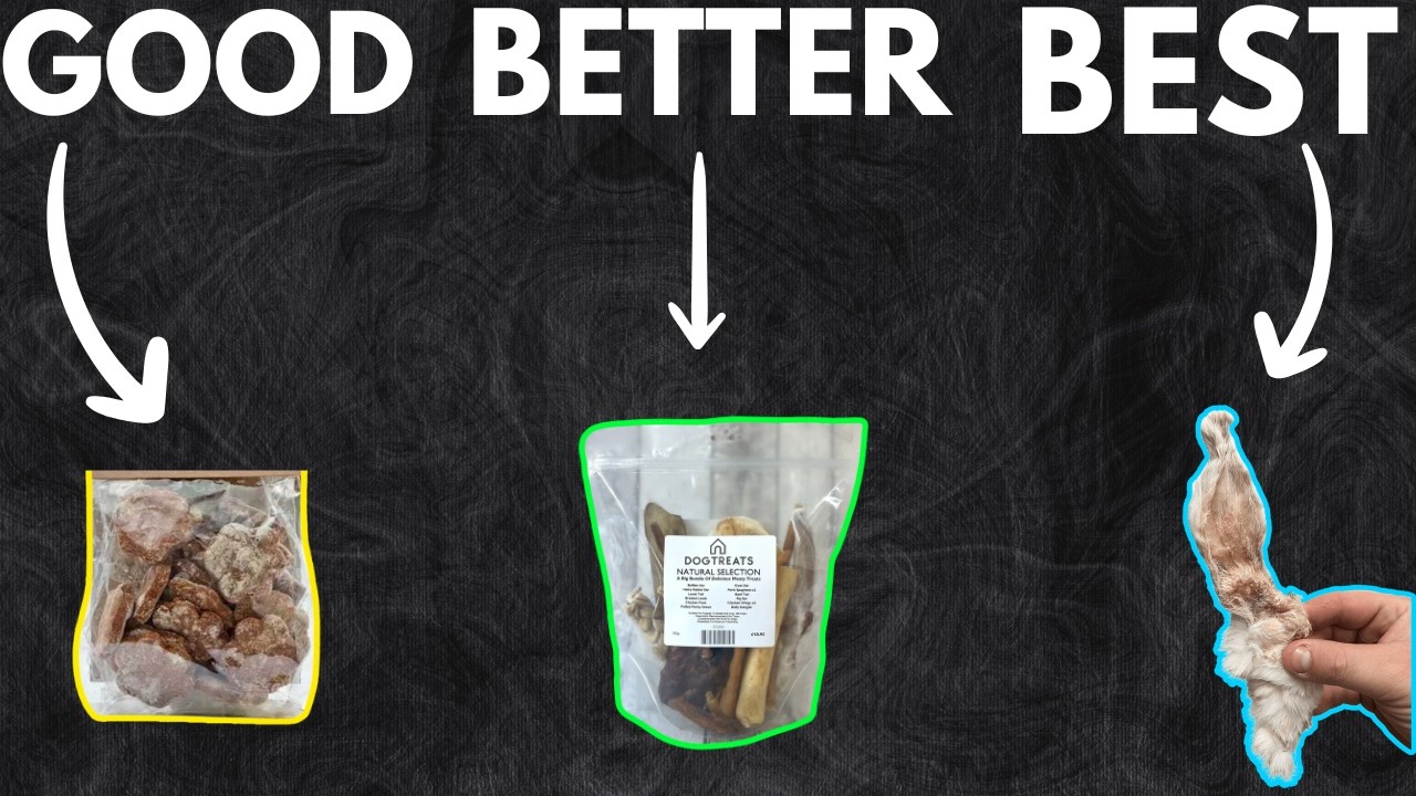 Ranking The Best Dog Treats