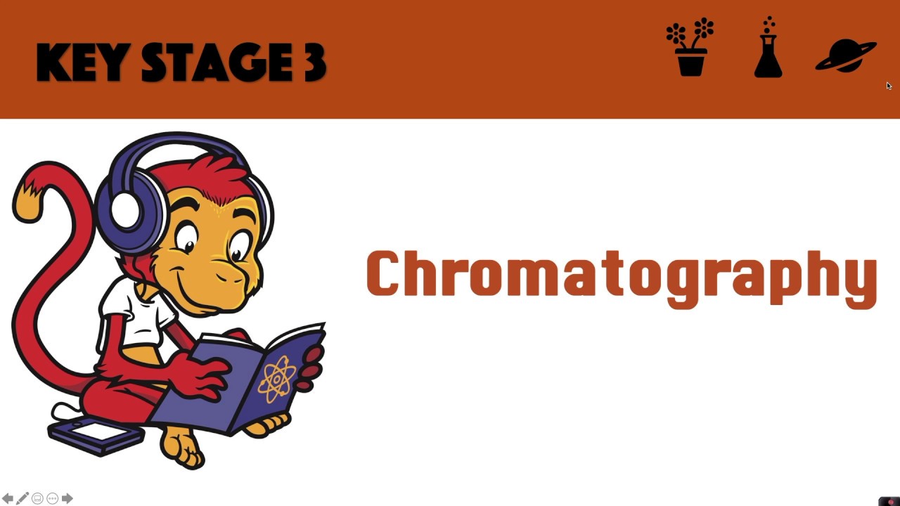 Chromatography