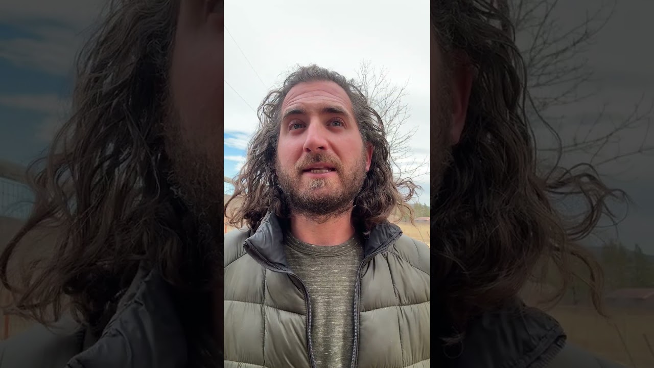 Homesteading Apprenticeship in Colorado - and why we do what we do